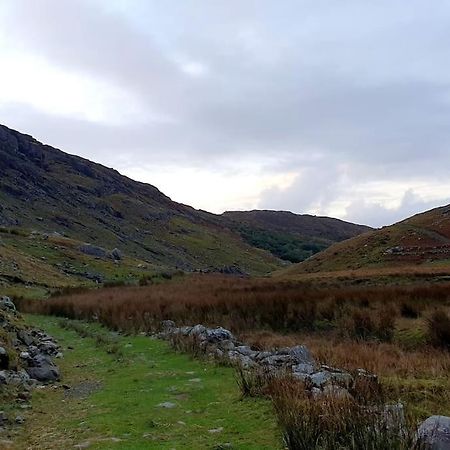 Secluded Cottage Nestled In The Beara Peninsula Killarney Eksteriør billede